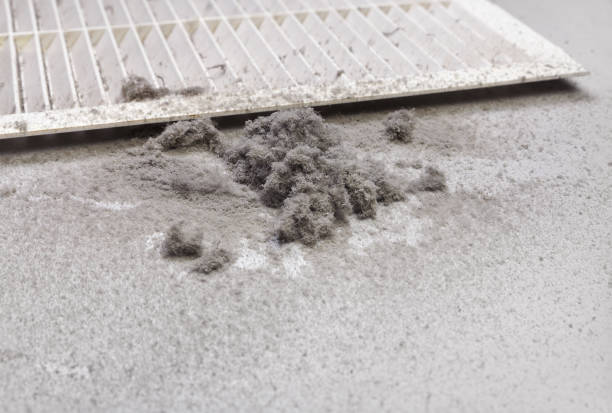 Best Air Duct Cleaning Near Me  in Argos, IN