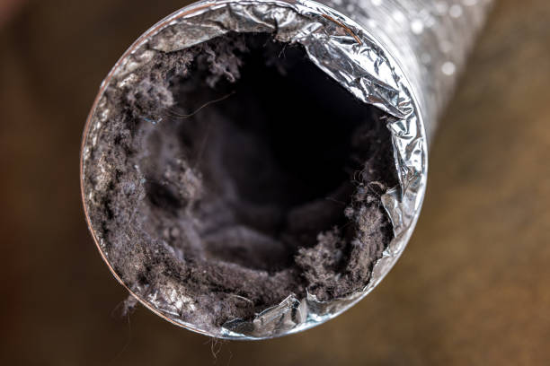 Best Duct Cleaning for Homes  in Argos, IN