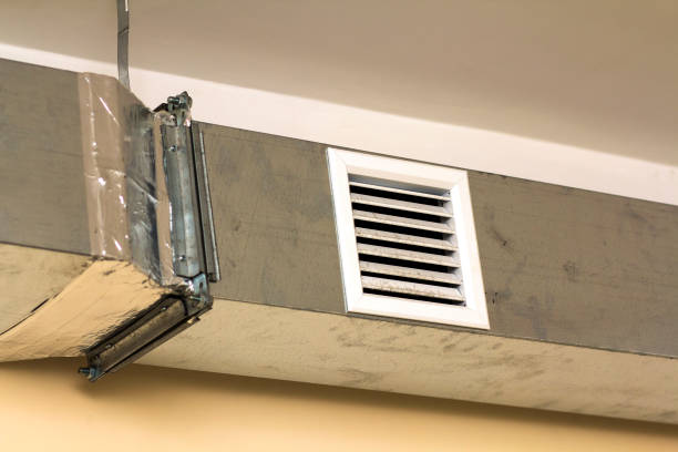 Best Residential Air Duct Cleaning  in Argos, IN
